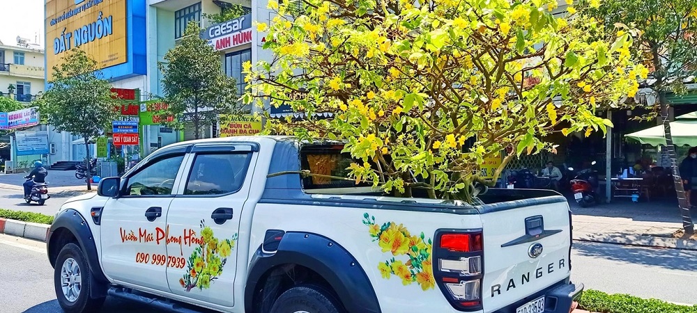 Cho thuê mai tết Cho thuê mai tết